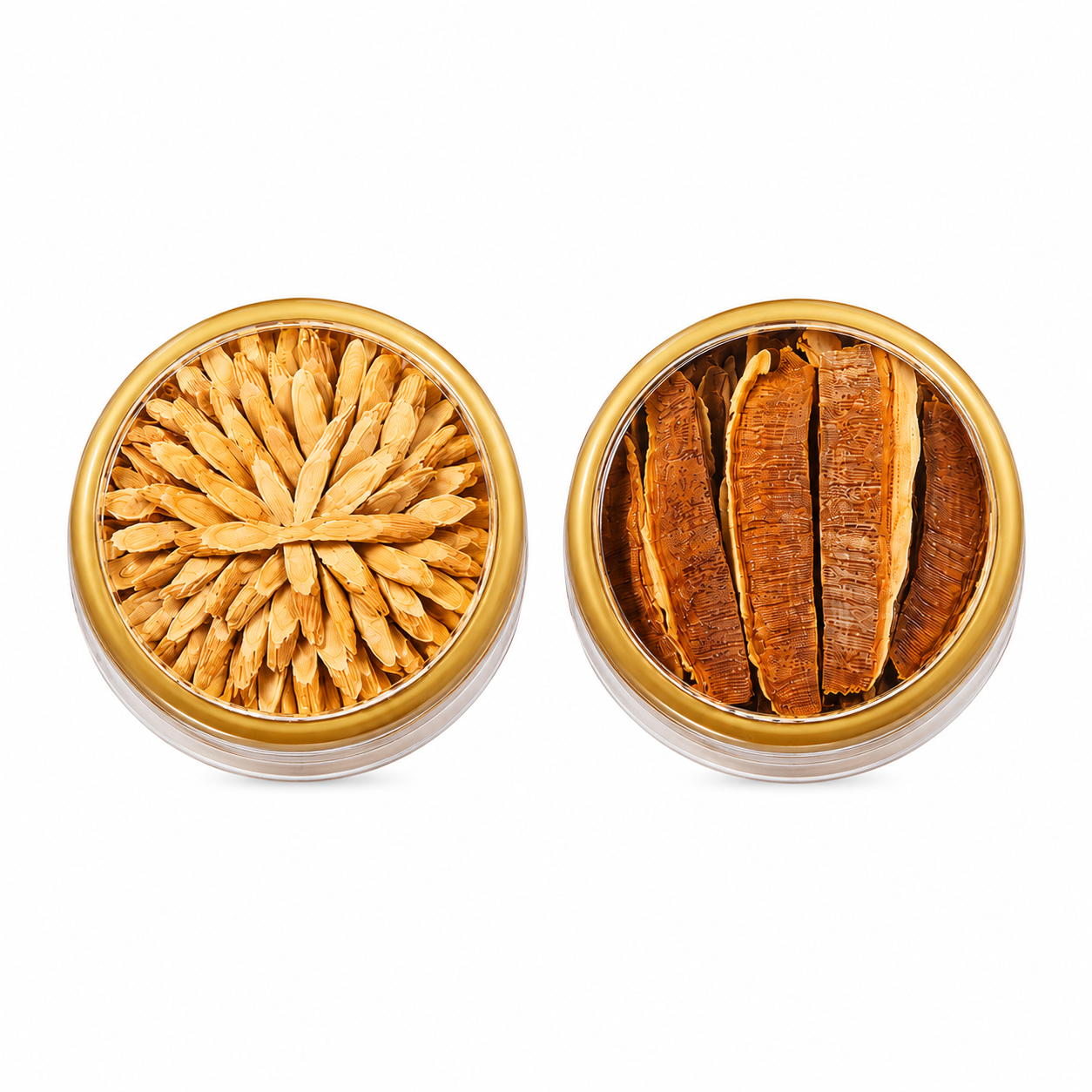Premium Astragalus & Ganoderma Gift Set™