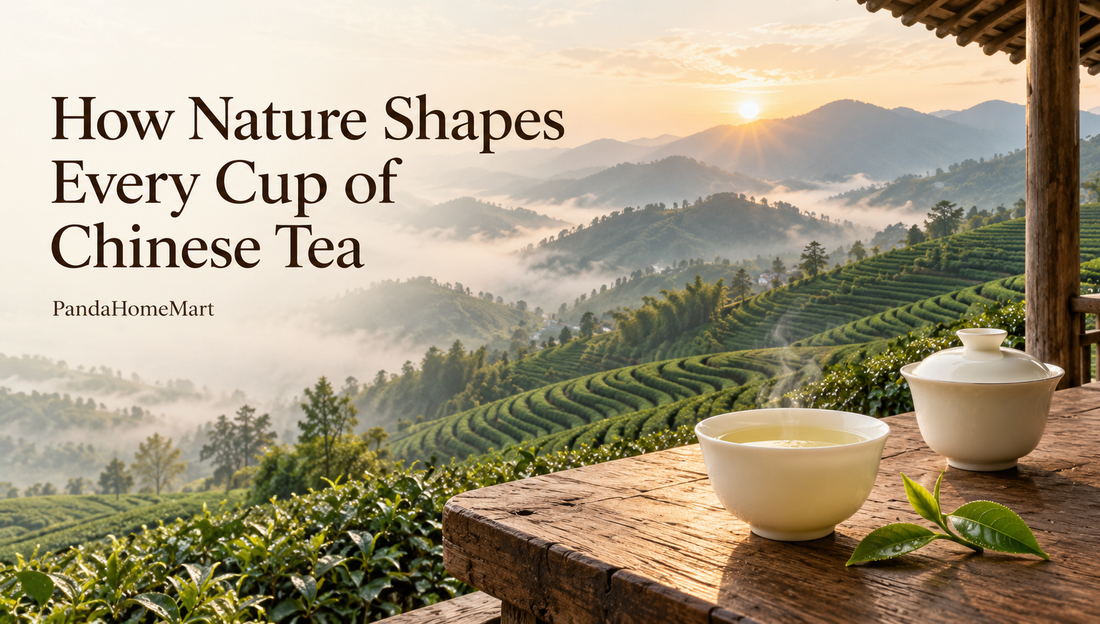 How Nature Shapes Every Cup of Chinese Tea