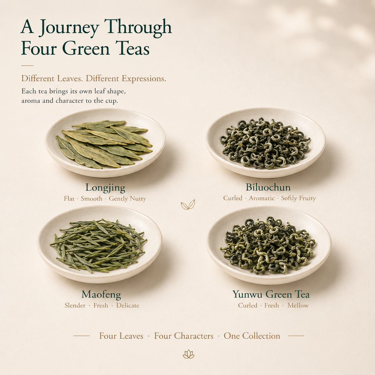 Chinese Green Tea Discovery Gift Set – Longjing, Biluochun, Maojian & Yunwu Tea 600 g