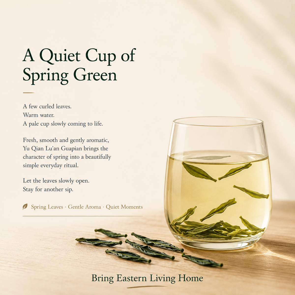 Premium Pre-Grain Rain Lu'an Guapian Green Tea™ Discovery Pack – 75g