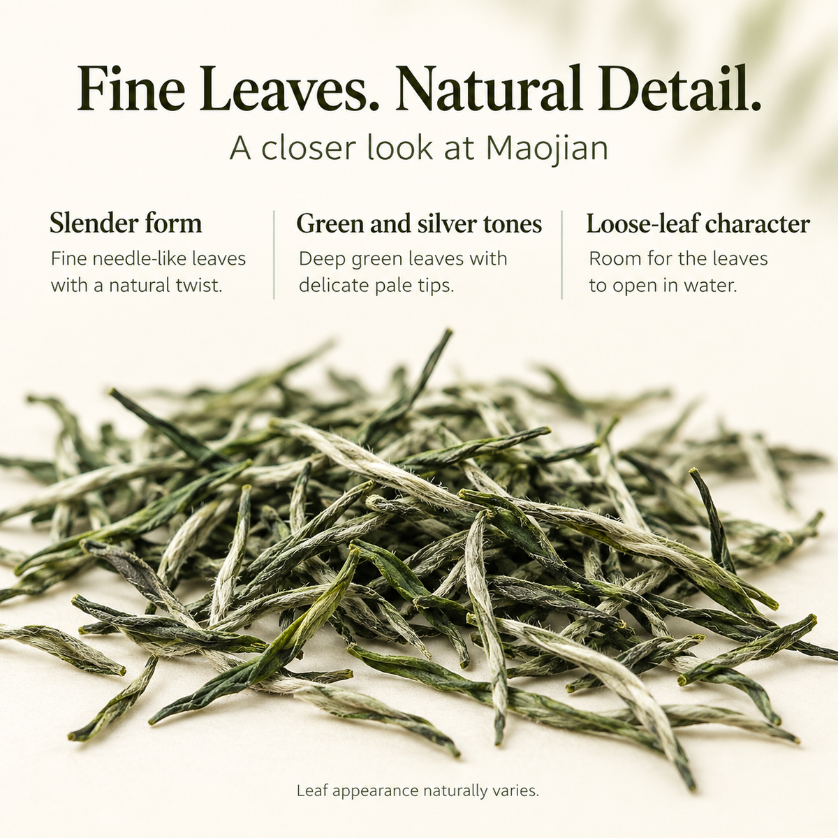 Pre-Qingming High-Mountain Maojian Green Tea – Tender Buds 500 g