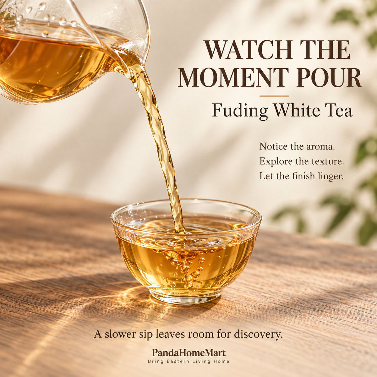 2015 Aged Shou Mei Mini White Tea Cakes – 250 g