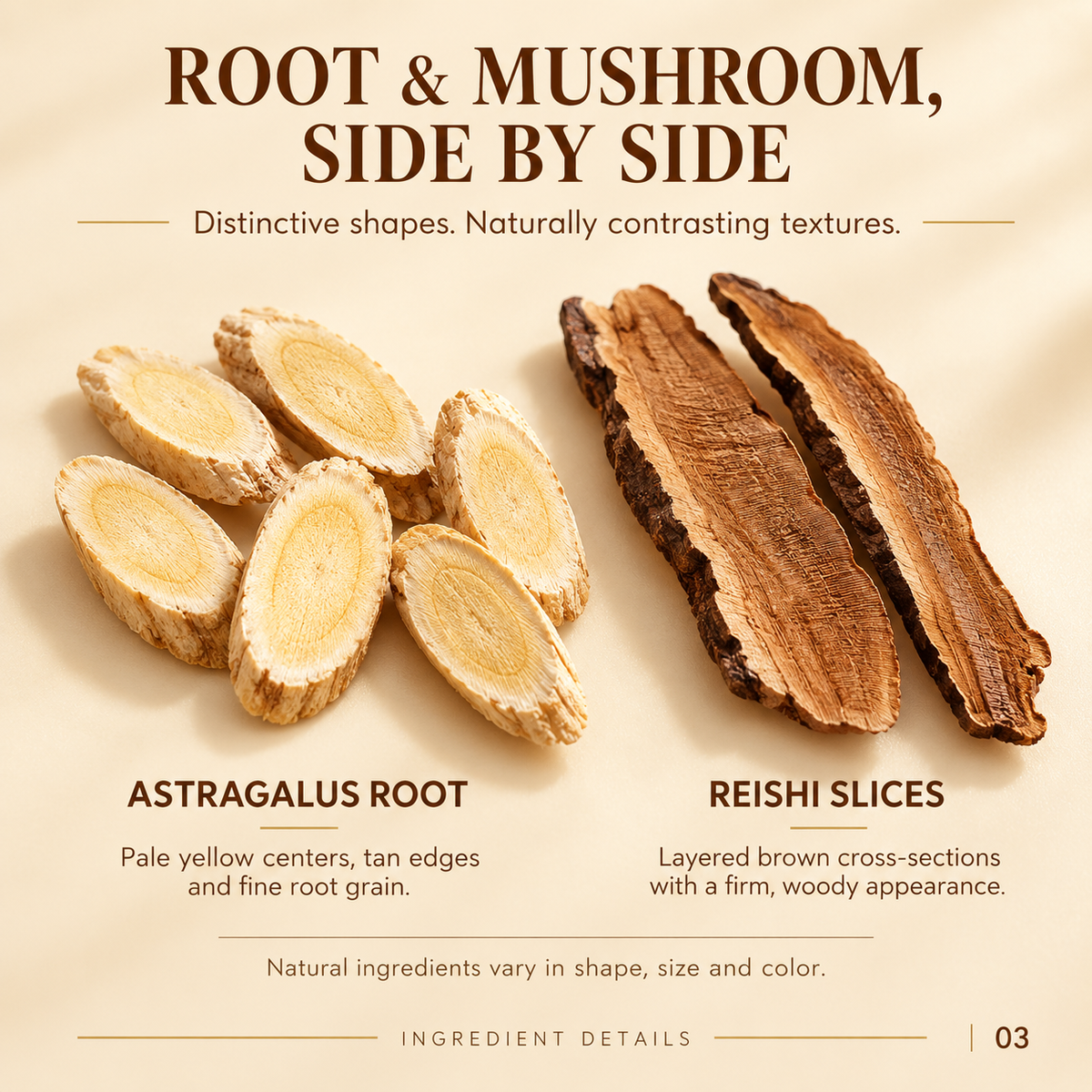Sliced Astragalus Root Huang Qi Traditional Chinese Botanical