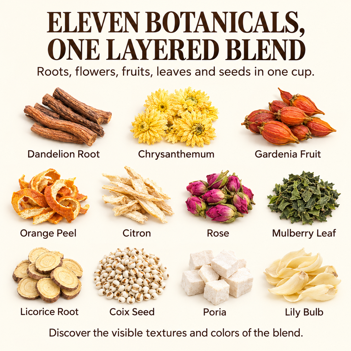 Dandelion, Gardenia & Poria Tea Pods™ — 30 Pods
