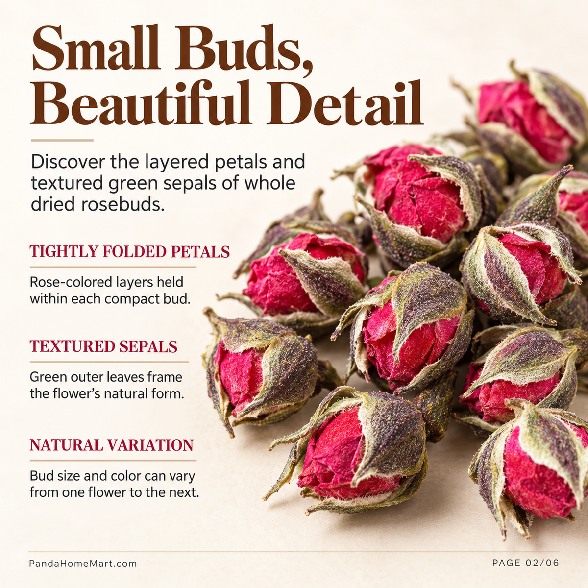 Golden Edge Rose Buds with Pink Petals and Green Golden Sepals