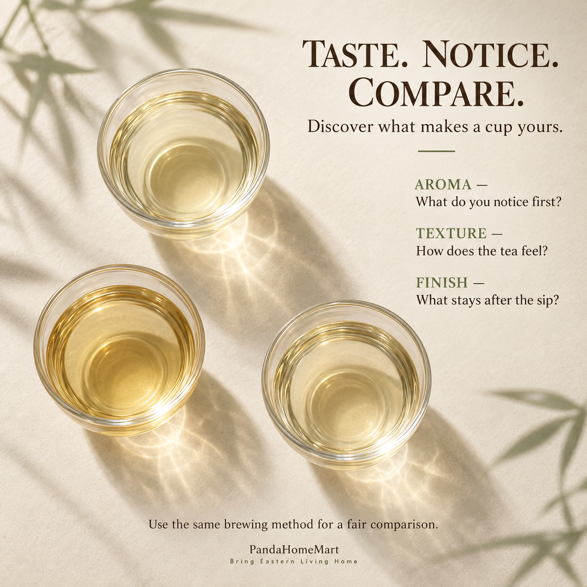 Chinese White Tea Tasting Collection – 50 g