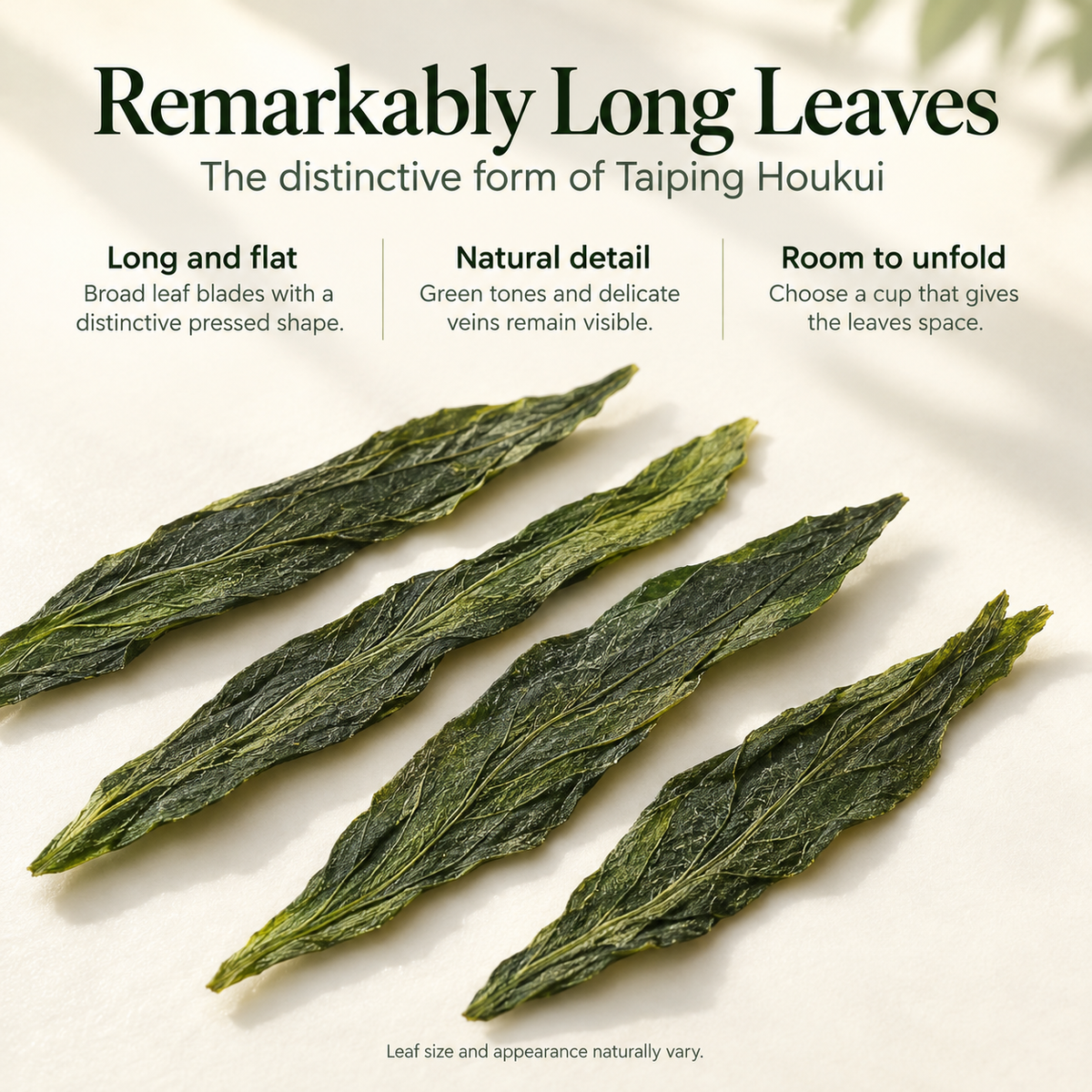 Premium Grade Taiping Houkui Green Tea™ – 100g - Everyday Collection