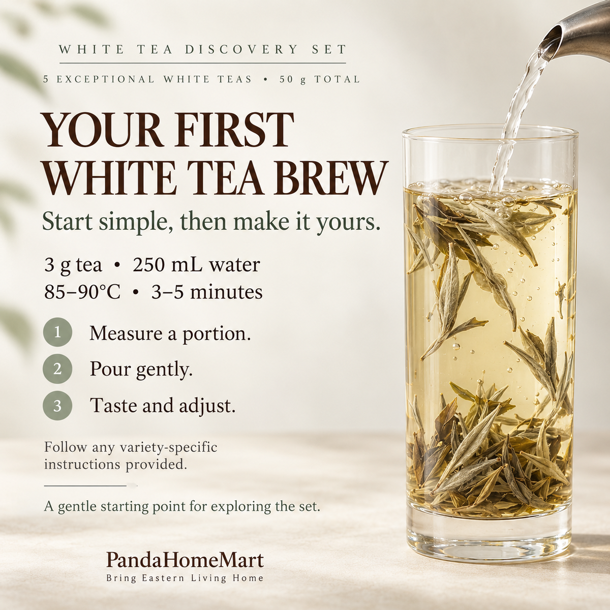Chinese White Tea Tasting Collection – 50 g