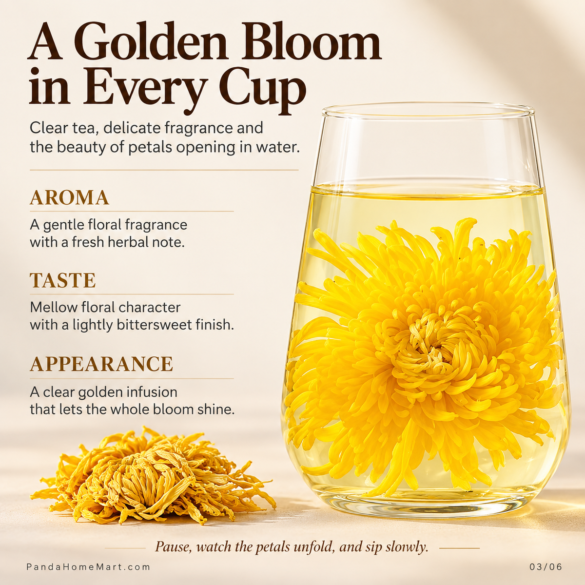 Golden Silk Imperial Chrysanthemum with Clear Golden Floral Infusion
