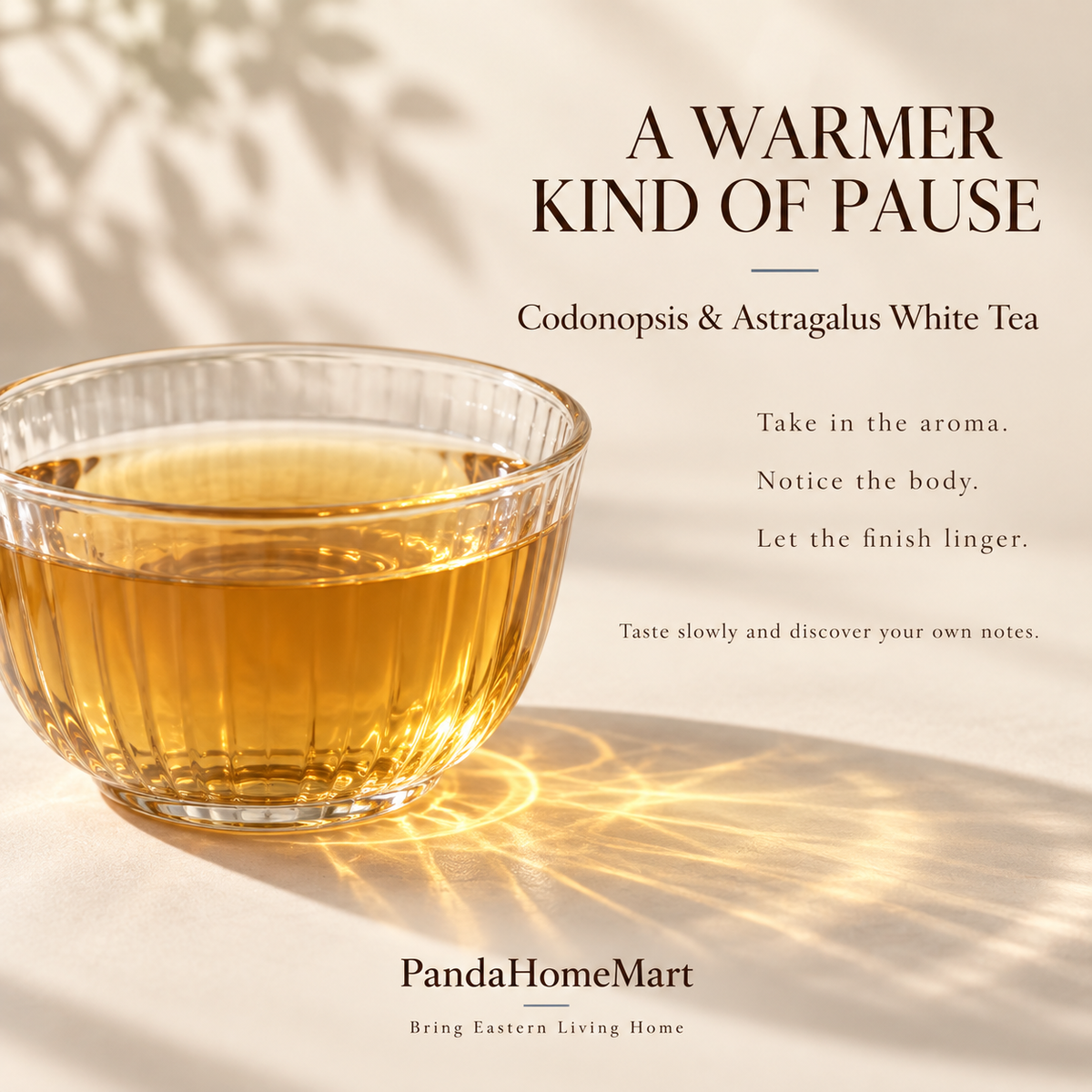 Codonopsis & Astragalus Shou Mei White Tea Sample – 63 g