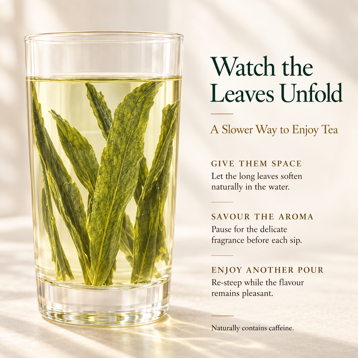 Premium First-Pick Taiping Houkui Green Tea – Orchid Aroma 50 g