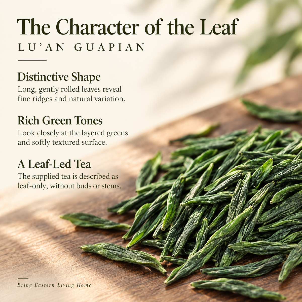 Fresh-Picked Pre-Rain Lu'an Guapian Green Tea Gift Set – 150 g