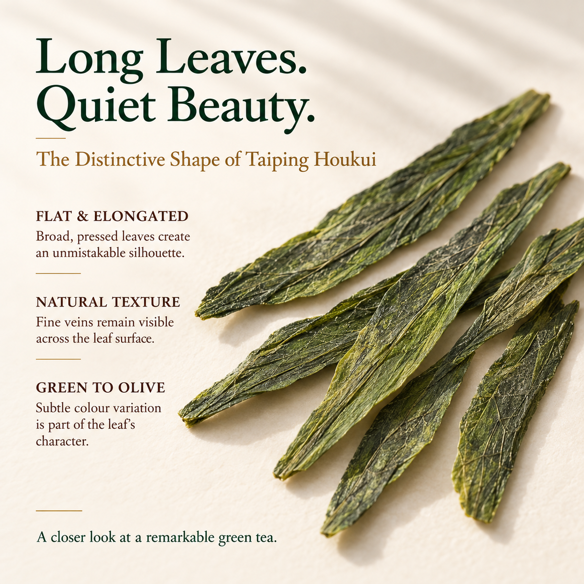 Premium First-Pick Taiping Houkui Green Tea – Orchid Aroma 50 g