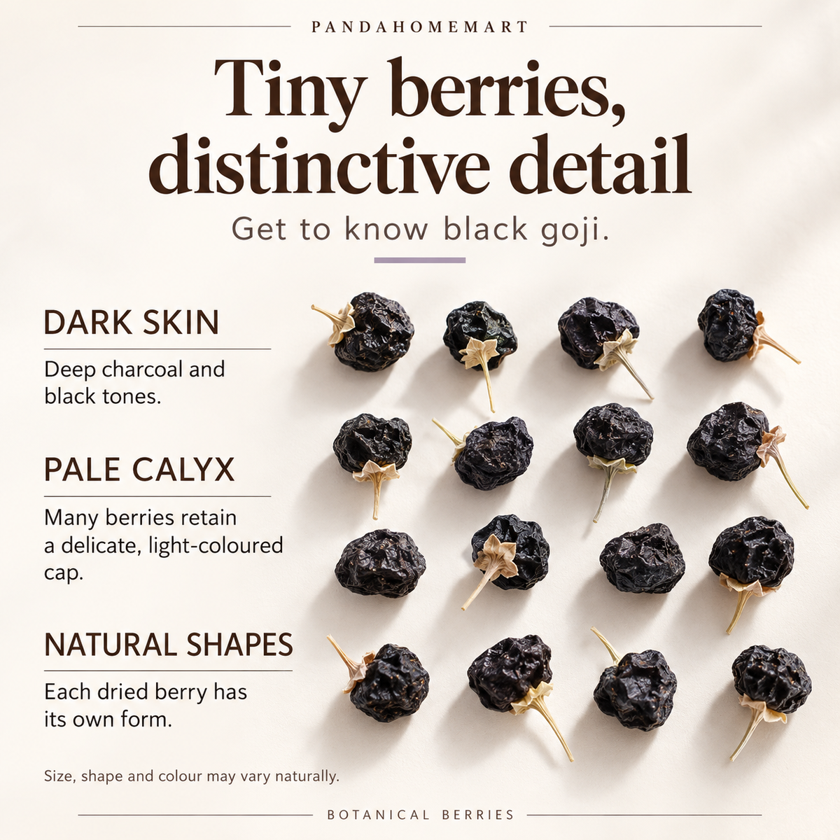 Whole Dried Black Goji Berries with Purple Black Color