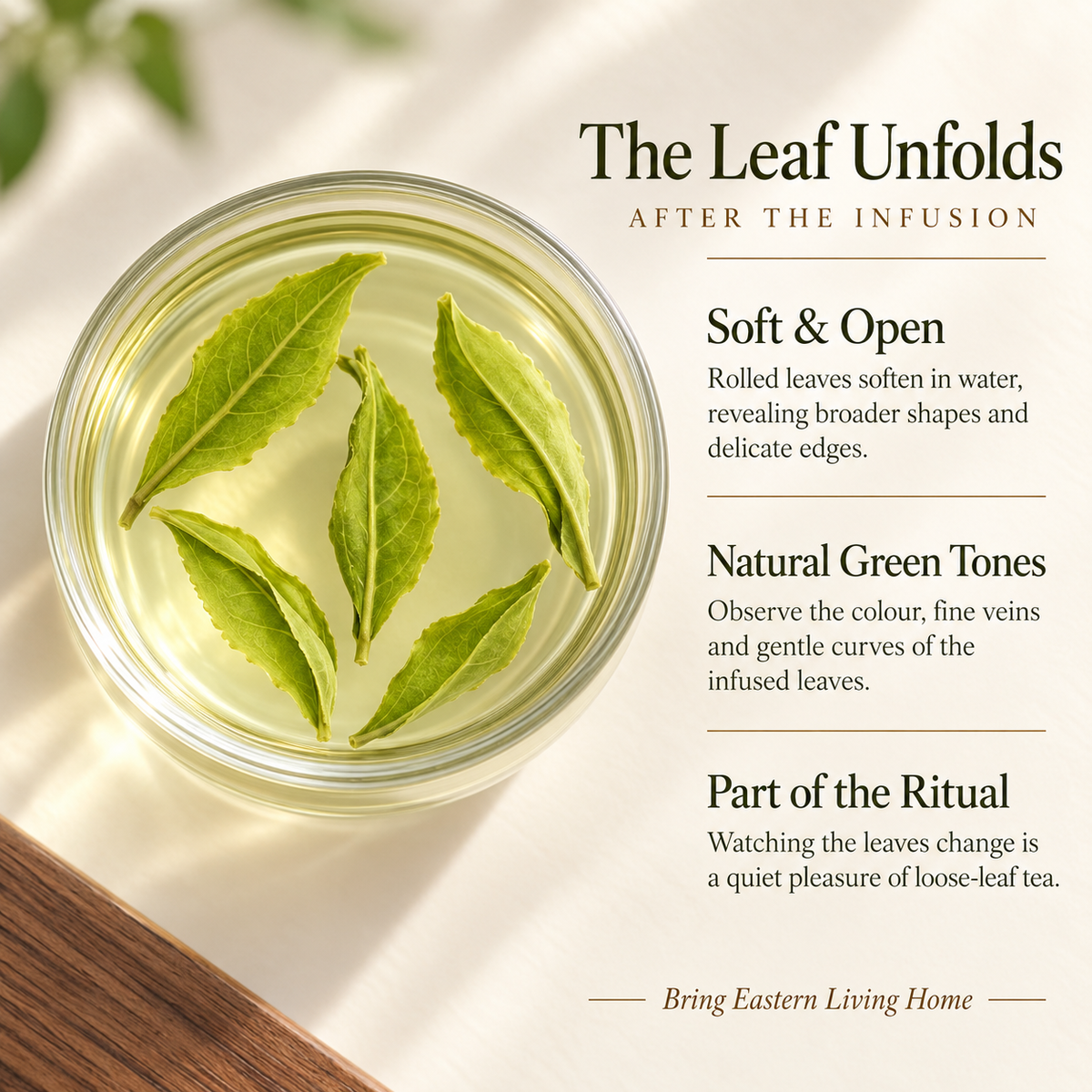 New Season Handcrafted Lu'an Guapian Green Tea – 125 g