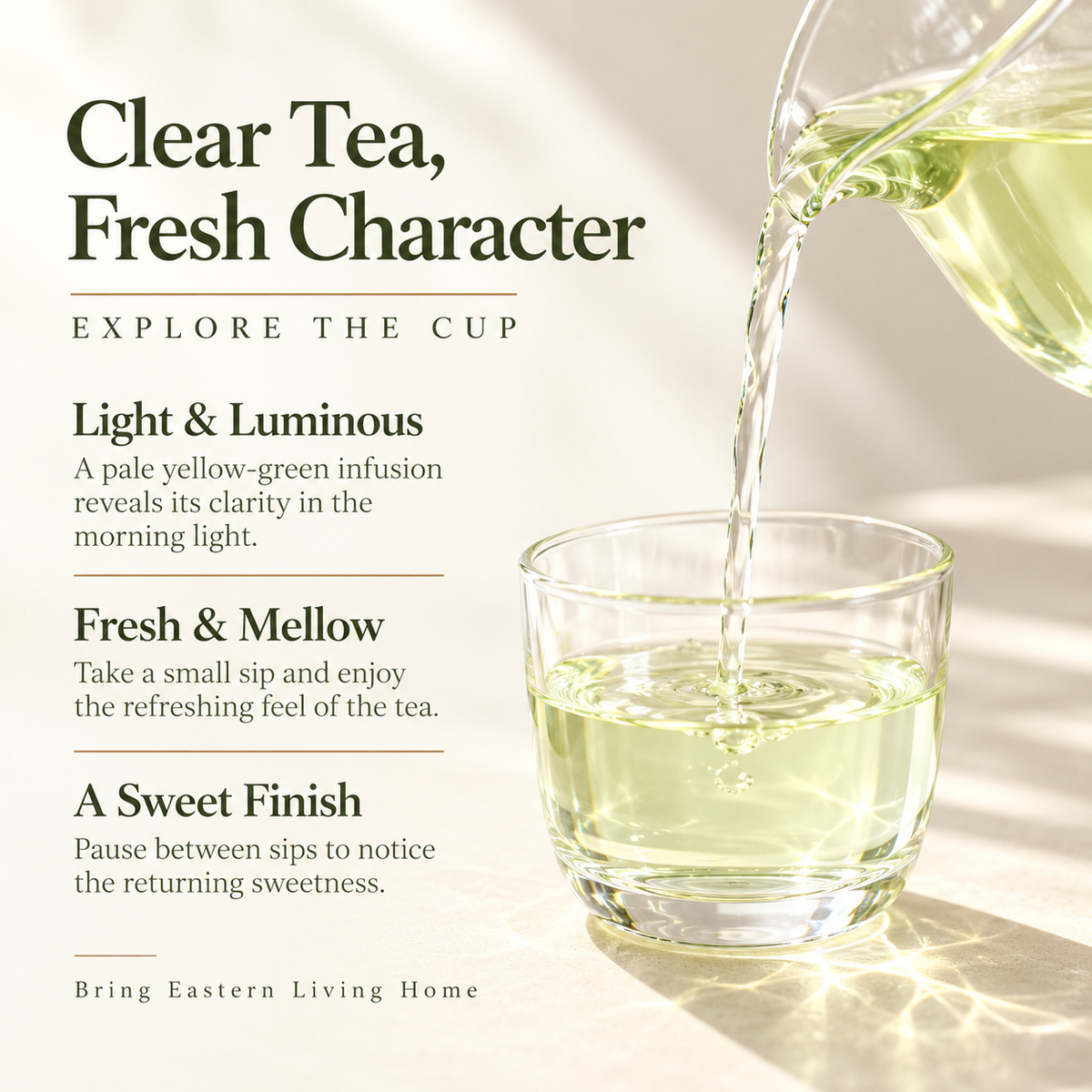 Premium Pre-Grain Rain Lu'an Guapian Green Tea™ Family Pack – 250g