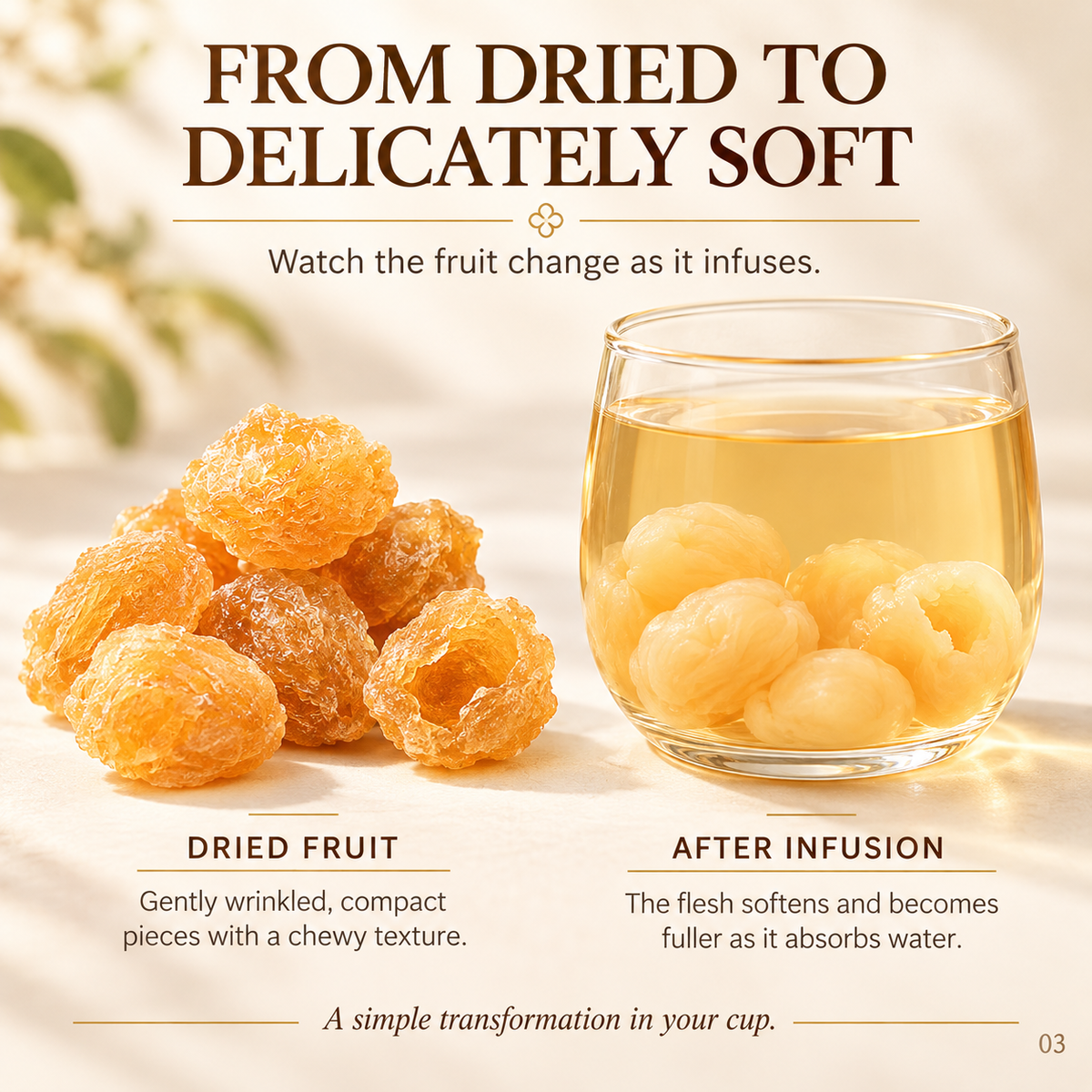 Dried Longan Gui Yuan Rou Fruit Infusion