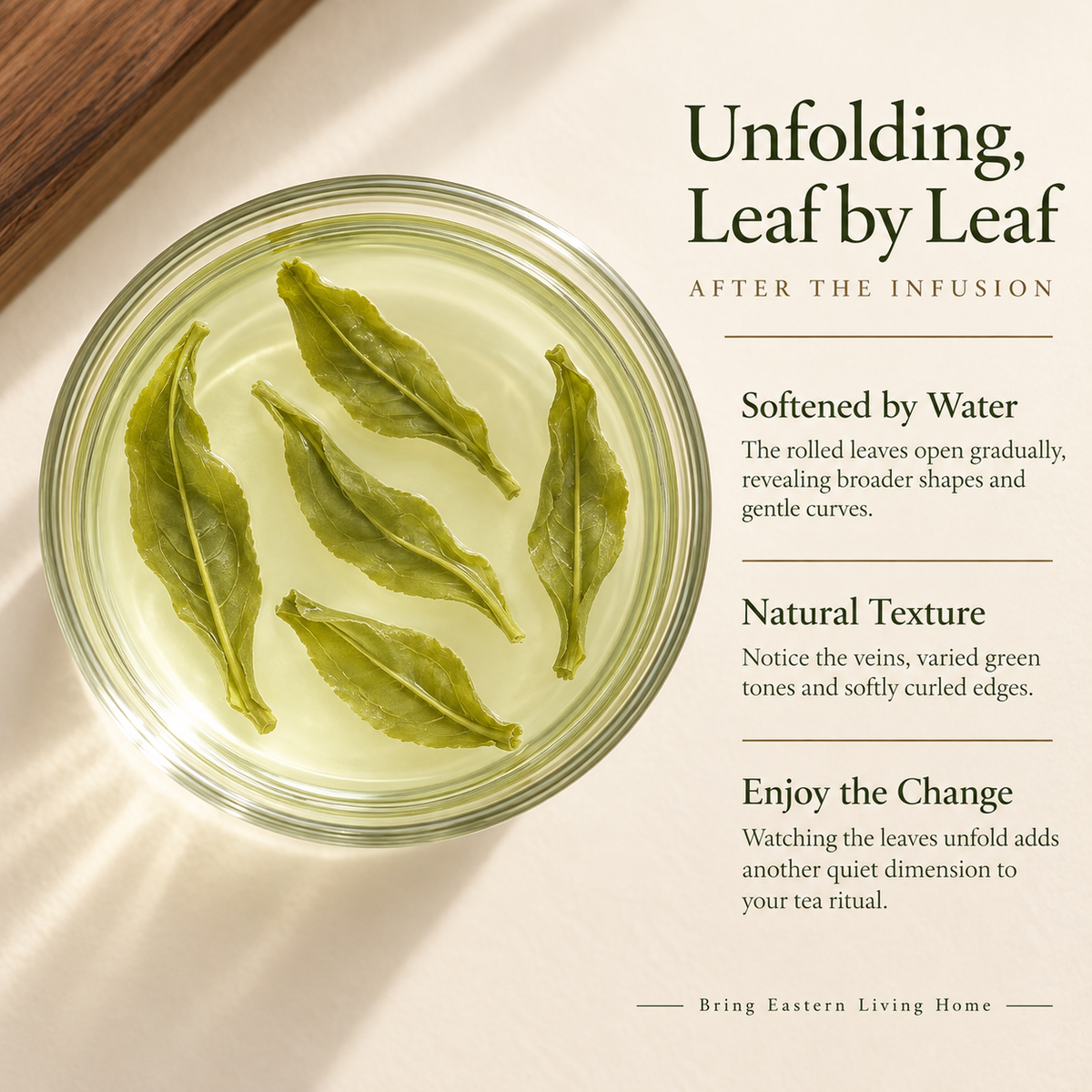 Premium Pre-Grain Rain Lu'an Guapian Green Tea™ Family Pack – 250g