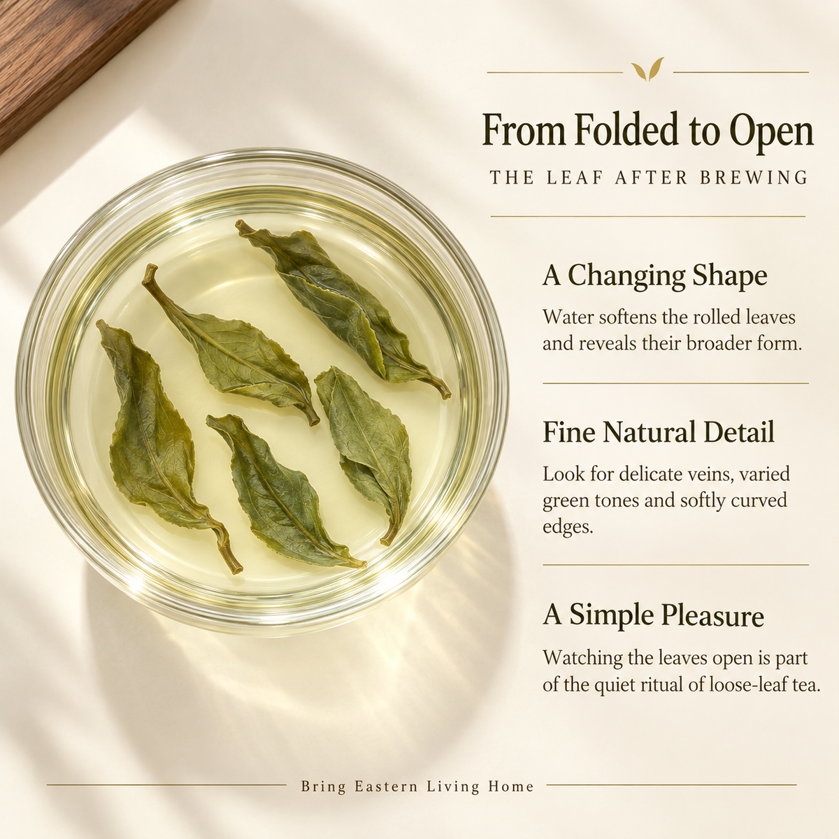 Premium Pre-Grain Rain Lu'an Guapian Green Tea™ Discovery Pack – 75g