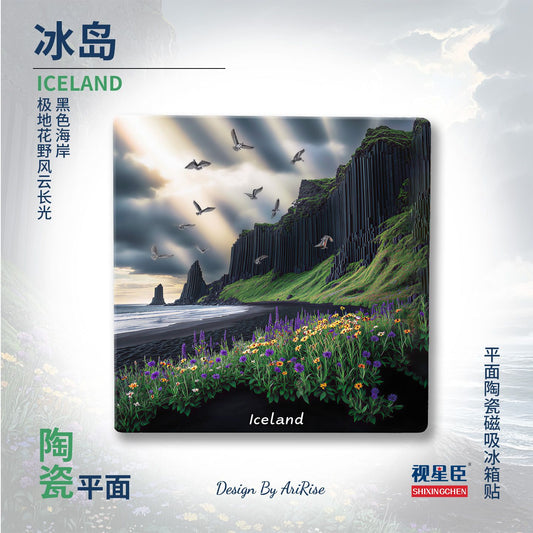 Iceland Black Sand Beach Souvenir