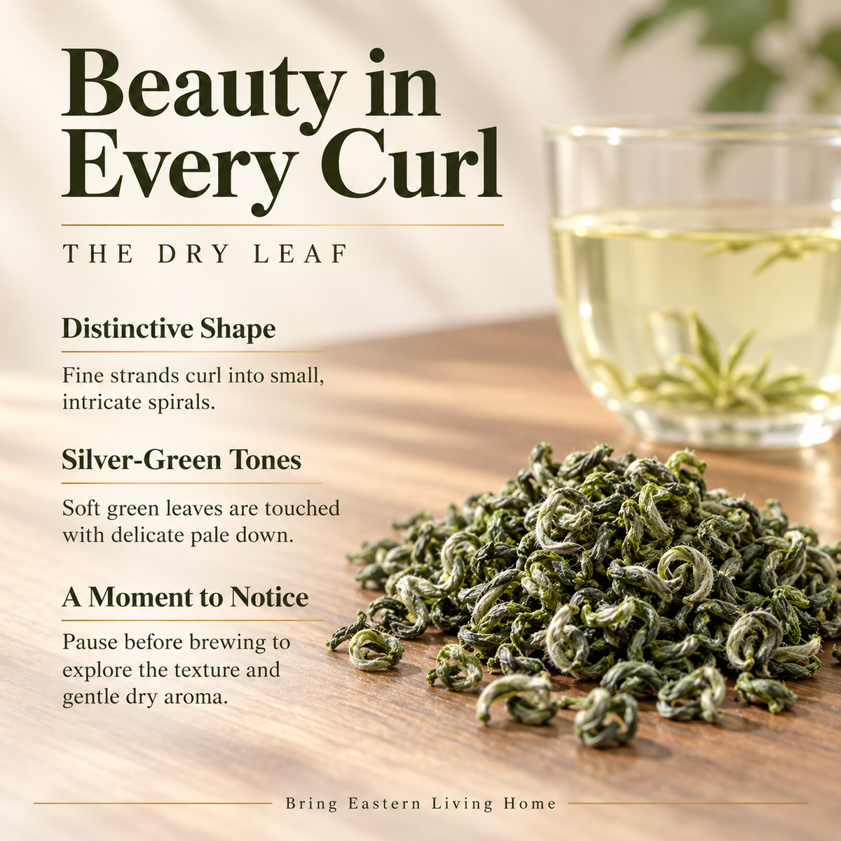 First-Pick Biluochun Green Tea – 200 g