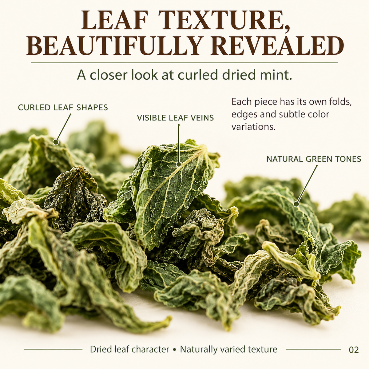 Dried Mint Granules with Natural Green Curled Leaf Texture