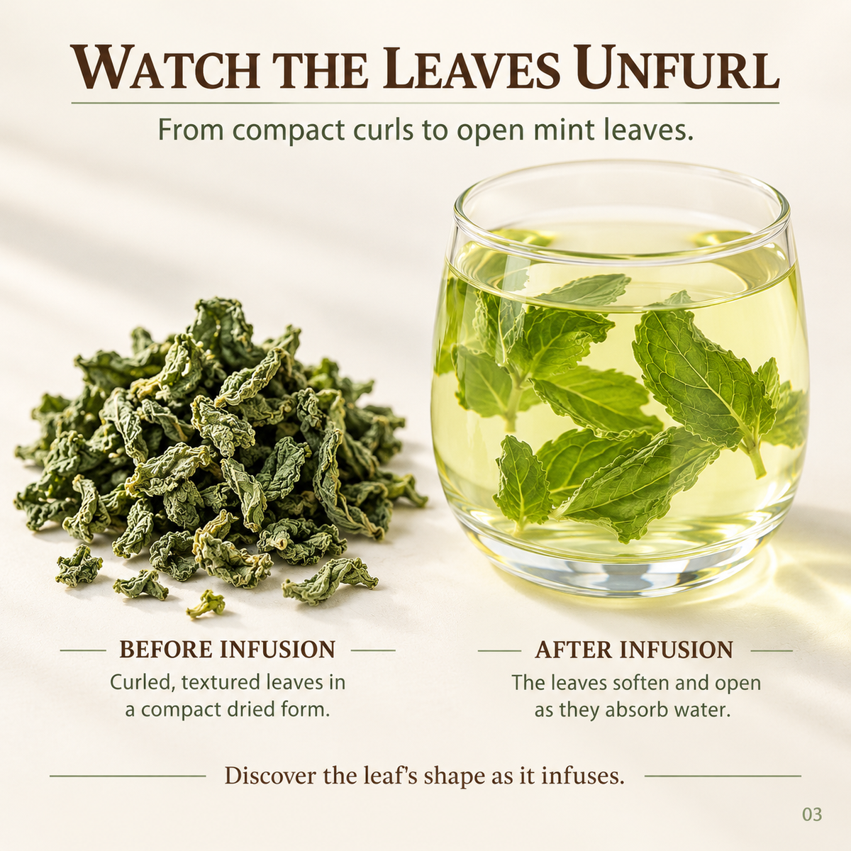 Mint Granules Pale Yellow Green Herbal Infusion