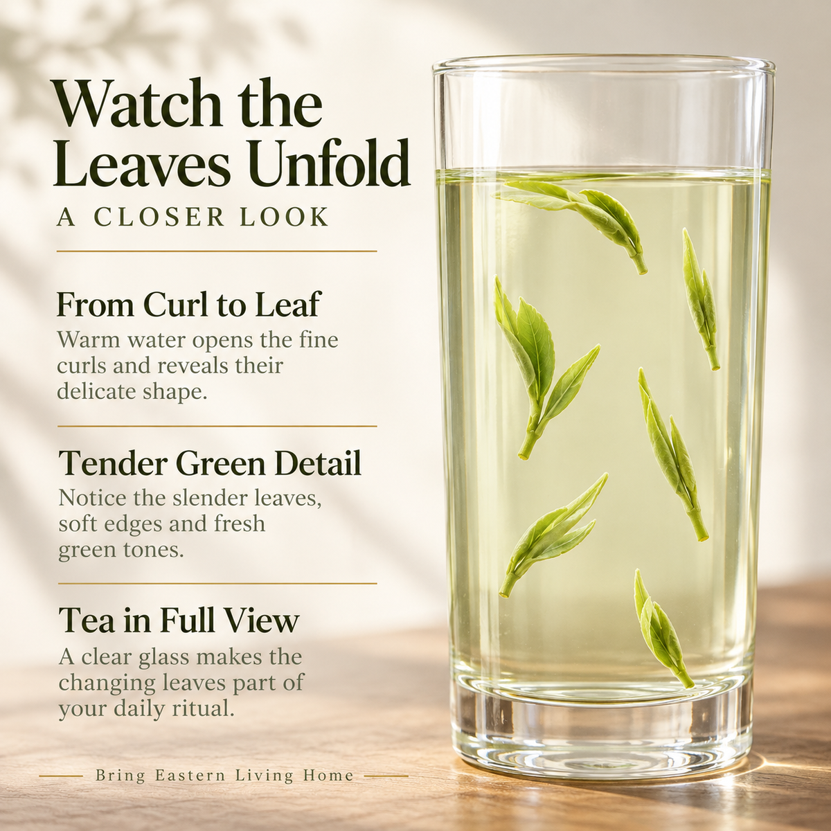 First-Pick Biluochun Green Tea – 200 g