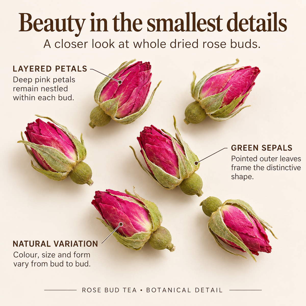 Whole Dried Rose Buds with Pink Petals and Green Sepals