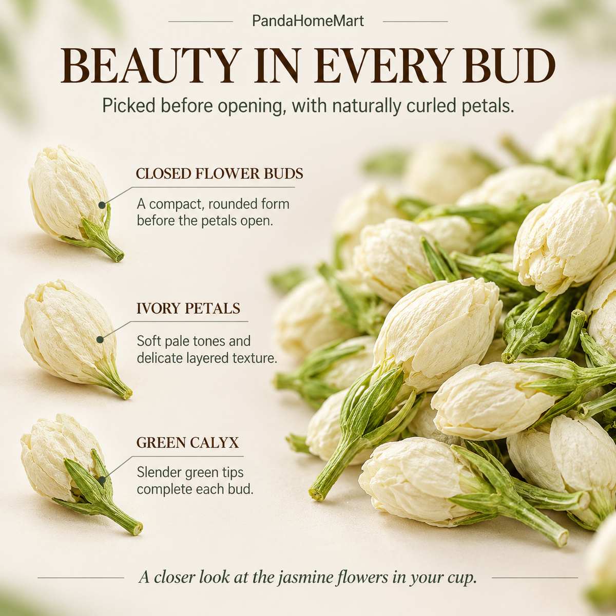 Dried Jasmine Flowers with Delicate Ivory Petals