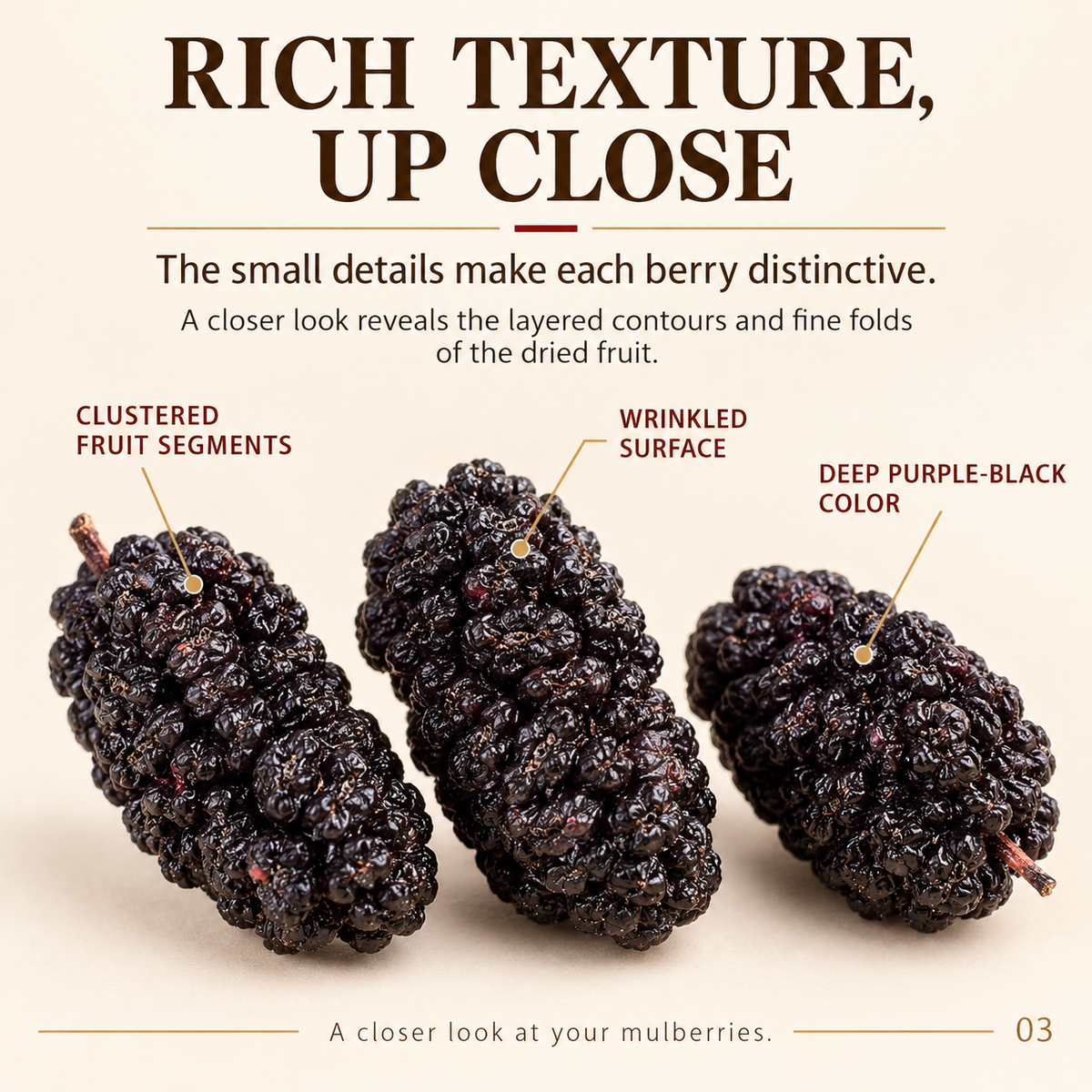 Whole Dried Black Mulberries with Deep Natural Color