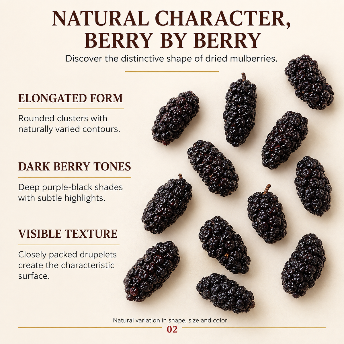 Dried Mulberry Sang Shen Gan Fruit Infusion