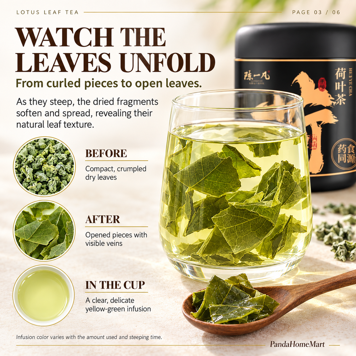 Dried Lotus Leaf Pieces with Natural Visible Veins