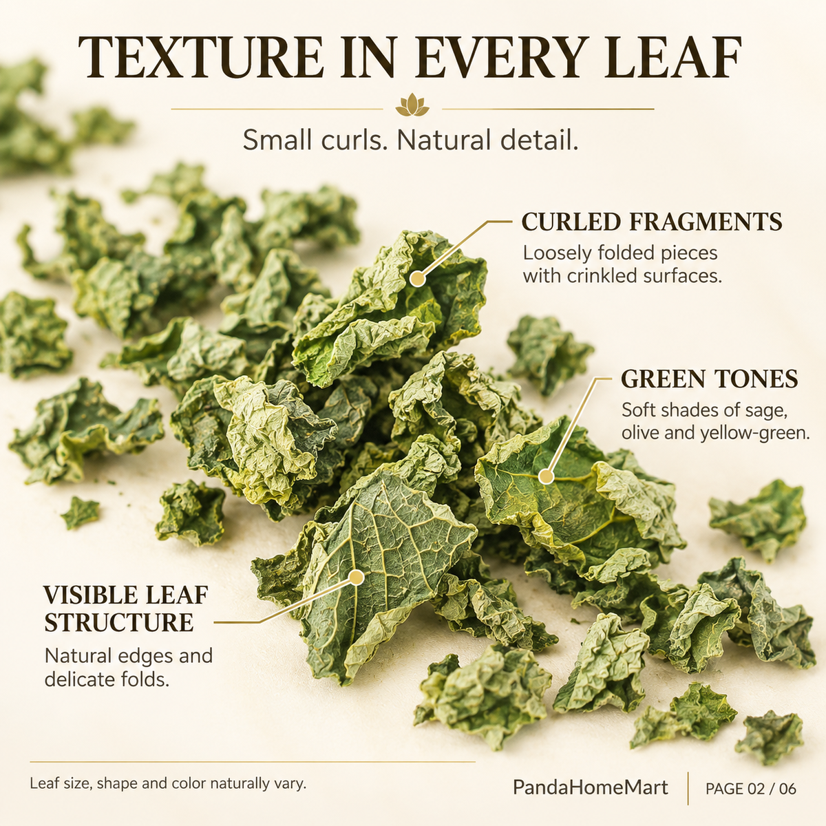 Lotus Leaf Tea Mild Botanical Herbal Infusion