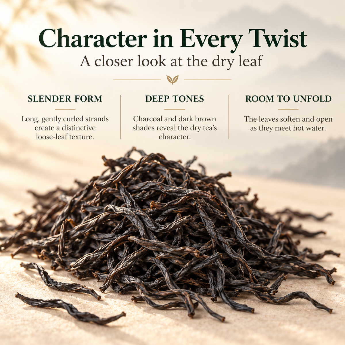 Premium Zhengshan Xiaozhong Black Tea Gift Set – Te Ji 260 g