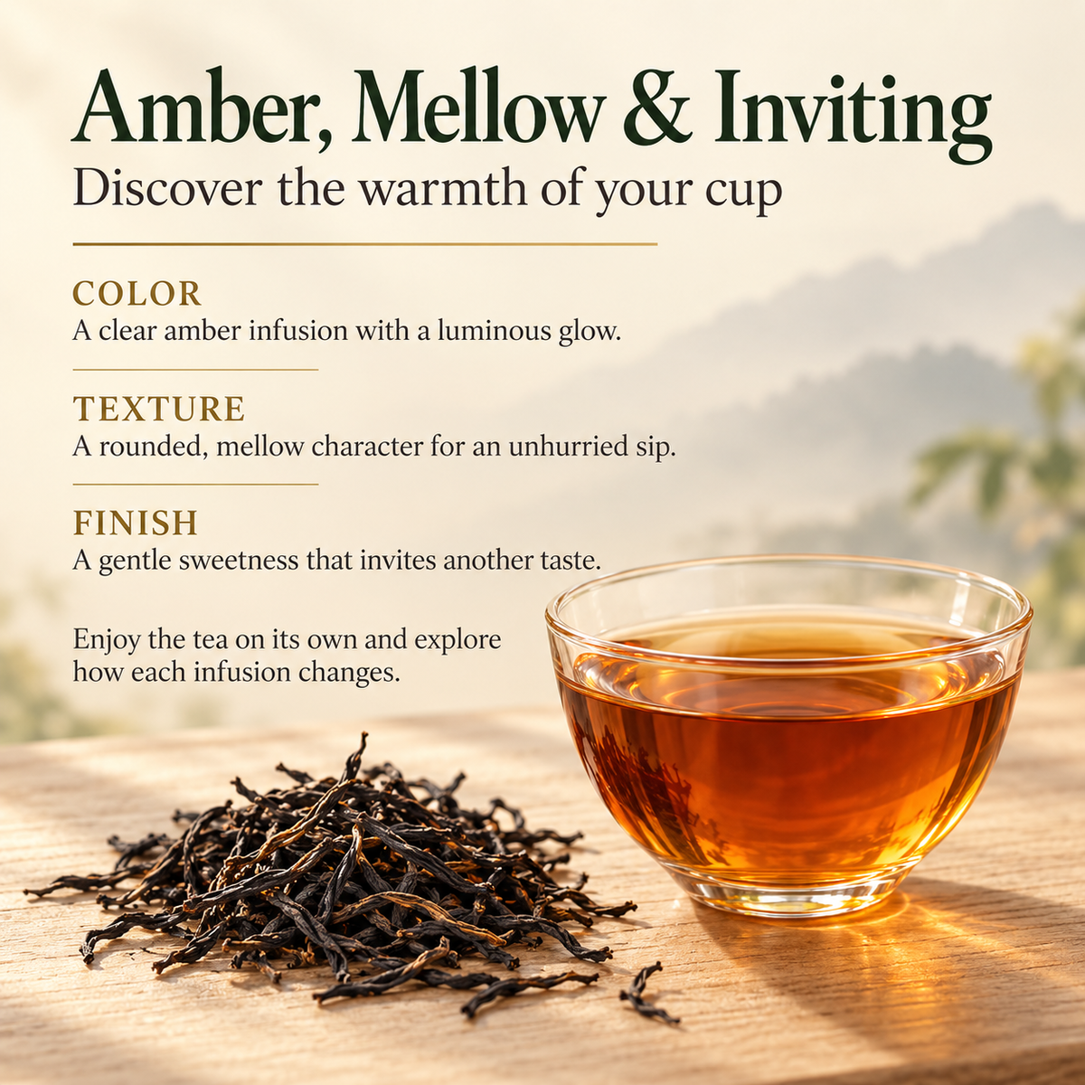 Premium Zhengshan Xiaozhong Black Tea Gift Set – Te Ji 260 g