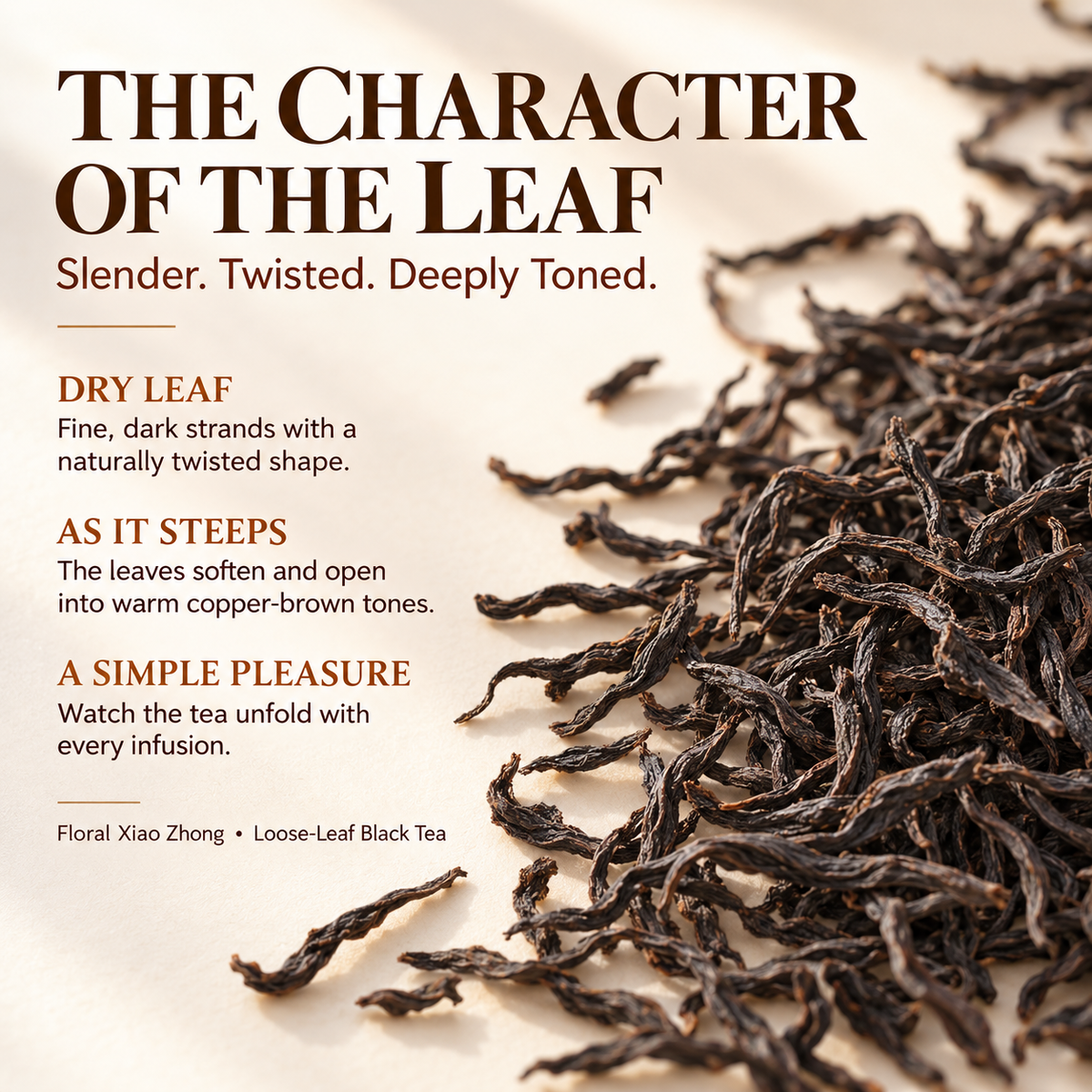 Floral Aroma Xiao Zhong Black Tea – Loose Leaf 250 g