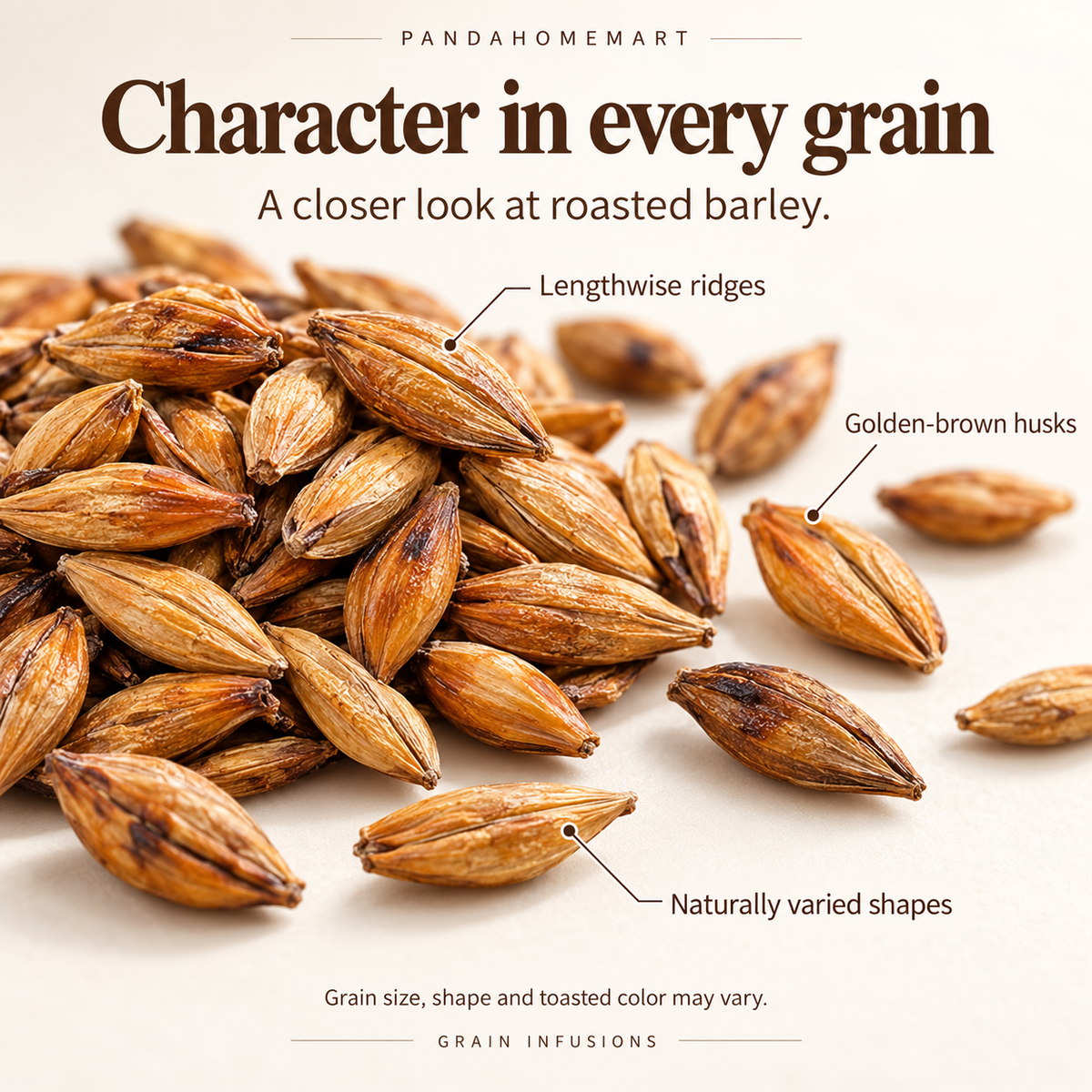Roasted Barley Grains with Golden Brown Toasted Color