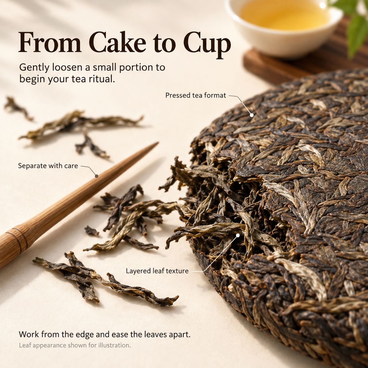 2015 Bingdao Ancient Tree Raw Pu-erh Tea Cake – 357 g