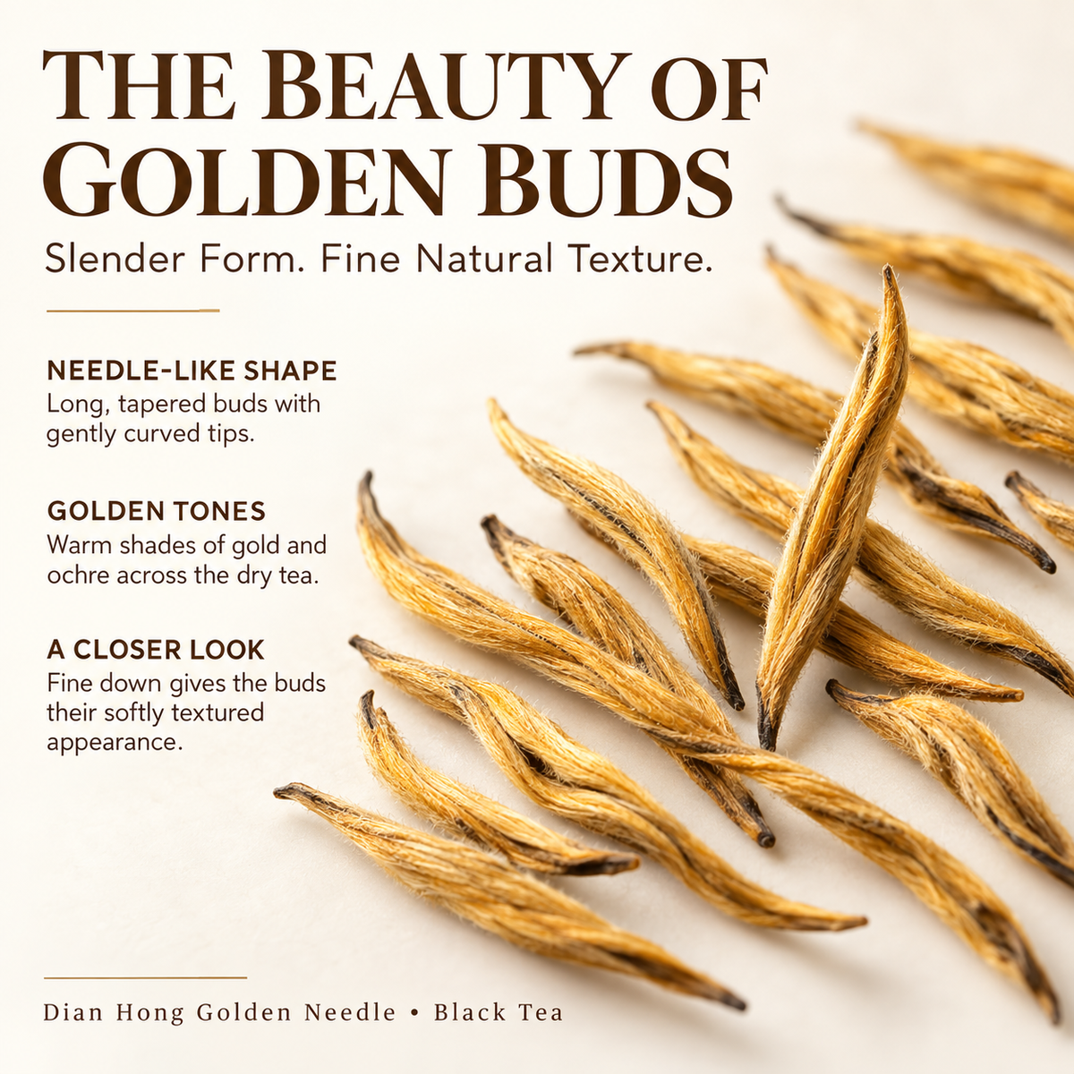 Premium Dian Hong Golden Needle Black Tea – Te Ji 200 g