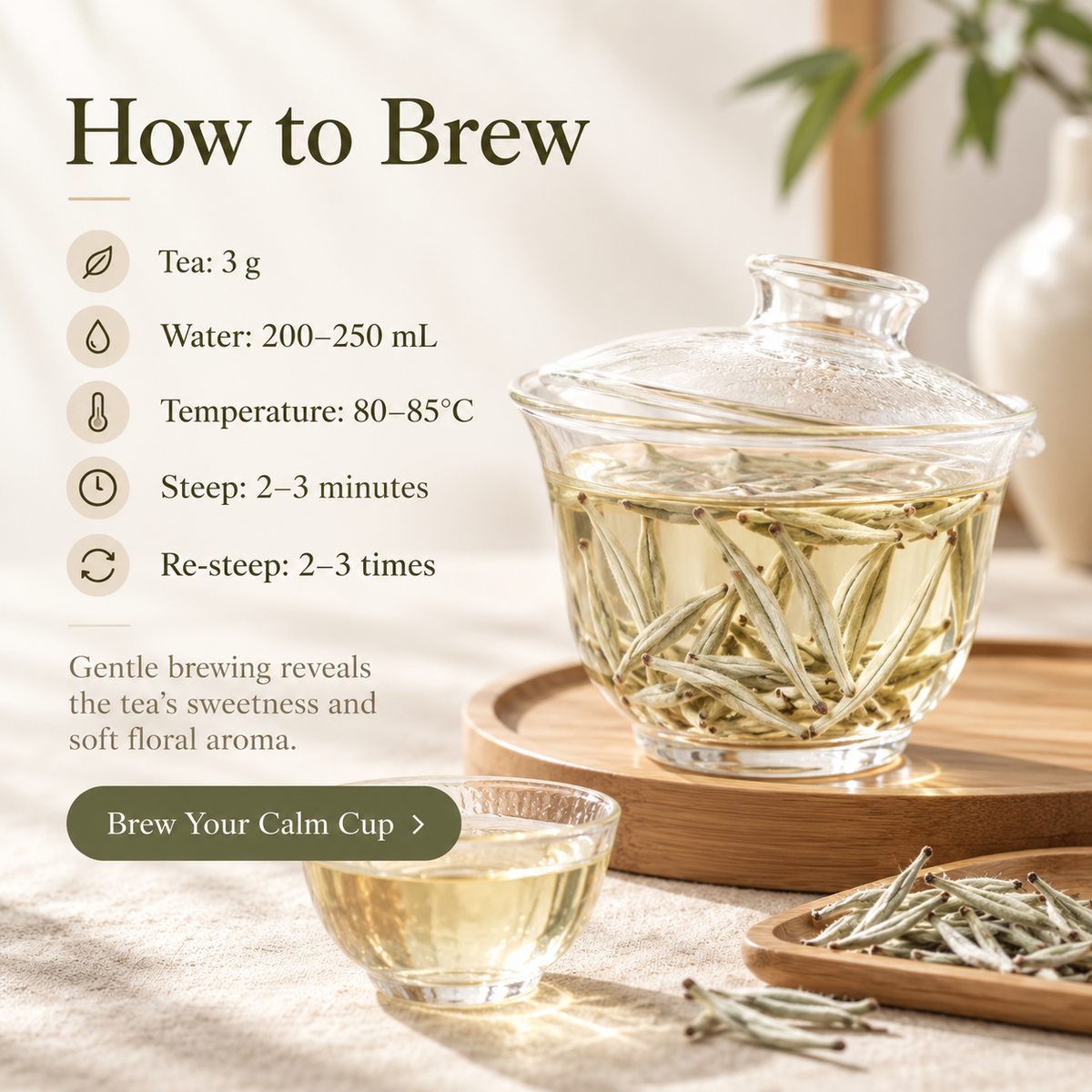 Premium Bai Hao Yin Zhen Silver Needle White Tea – Te Ji 50 g
