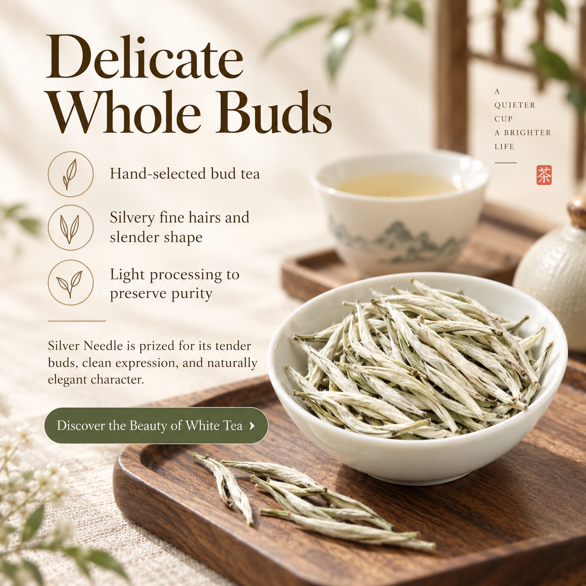Premium Bai Hao Yin Zhen Silver Needle White Tea – Te Ji 50 g