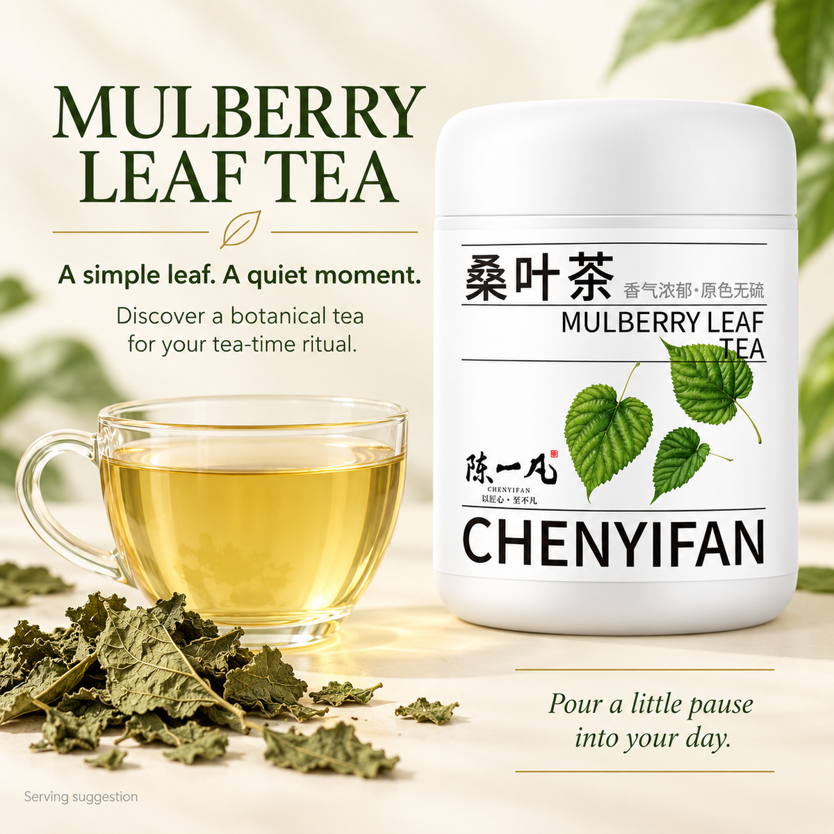 Mulberry Leaf Tea Sang Ye Cha 150g Dried Mulberry Leaves