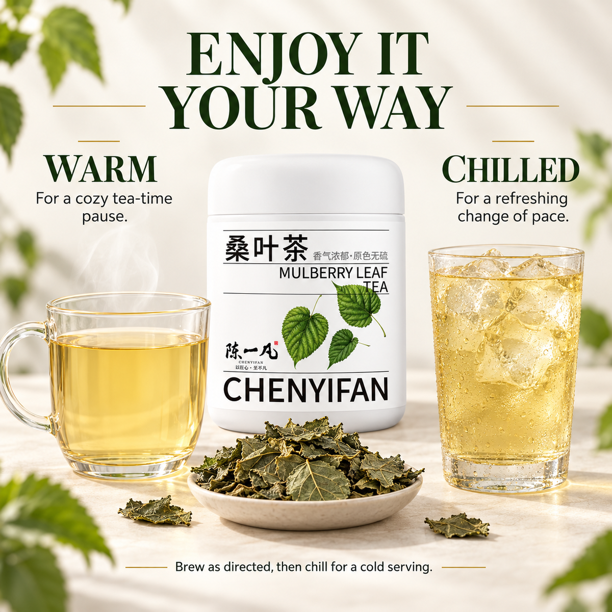 Sang Ye Cha Traditional Dried Mulberry Leaf Ingredient