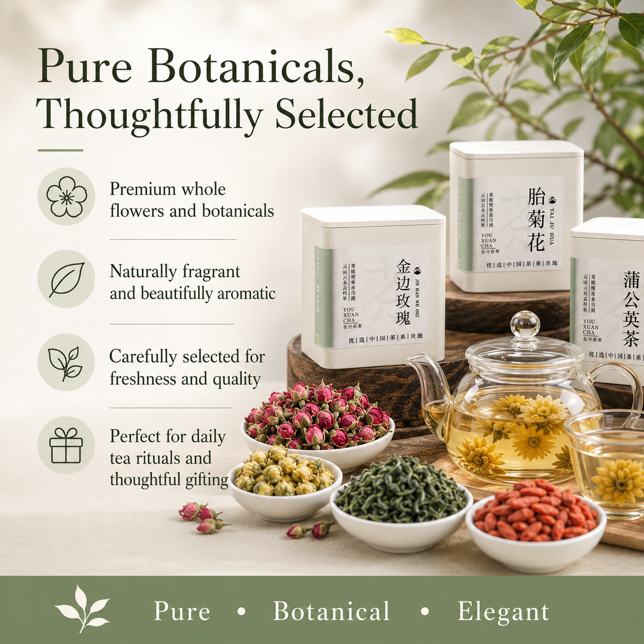 Premium Chinese Botanical Wellness Collection
