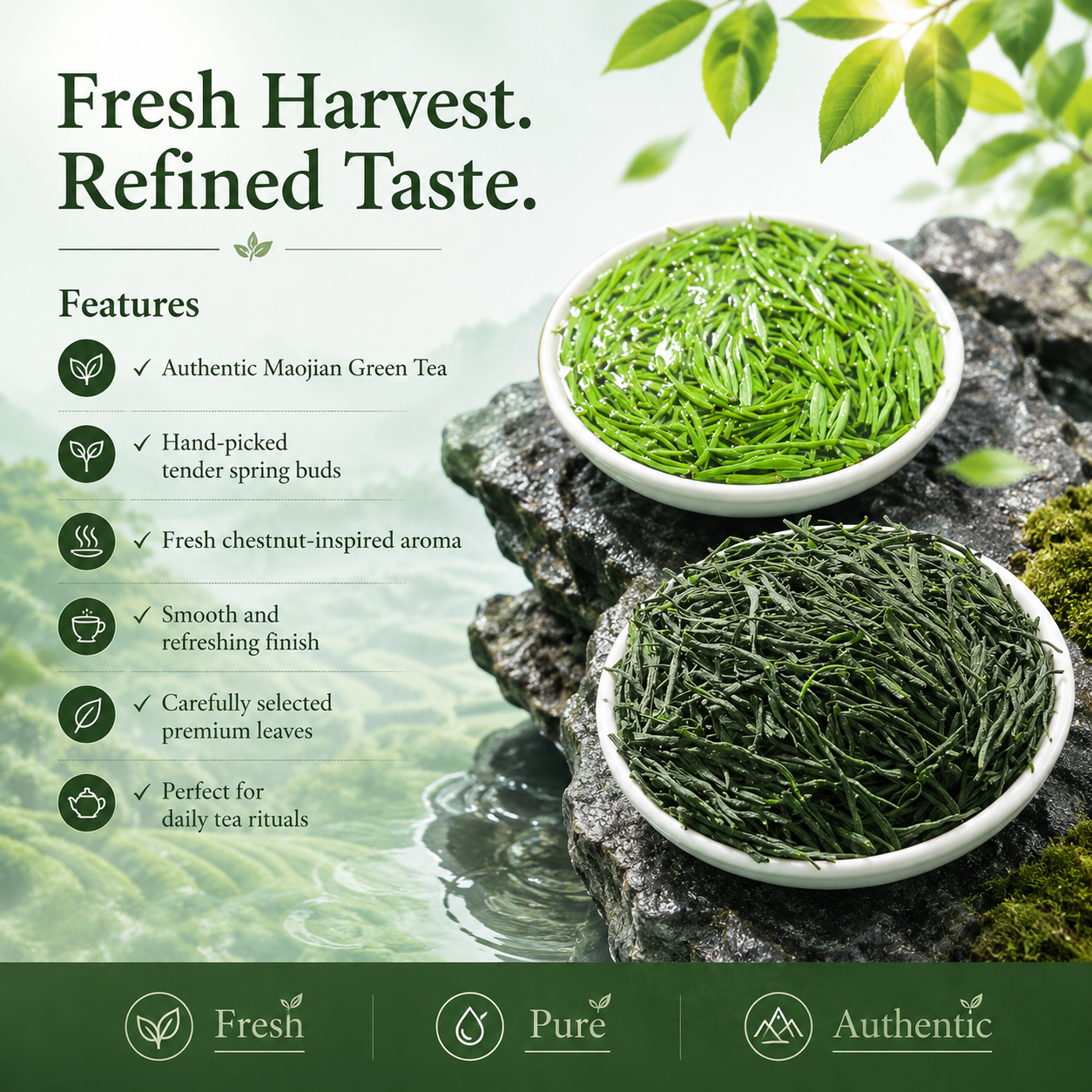 Premium Maojian Green Tea