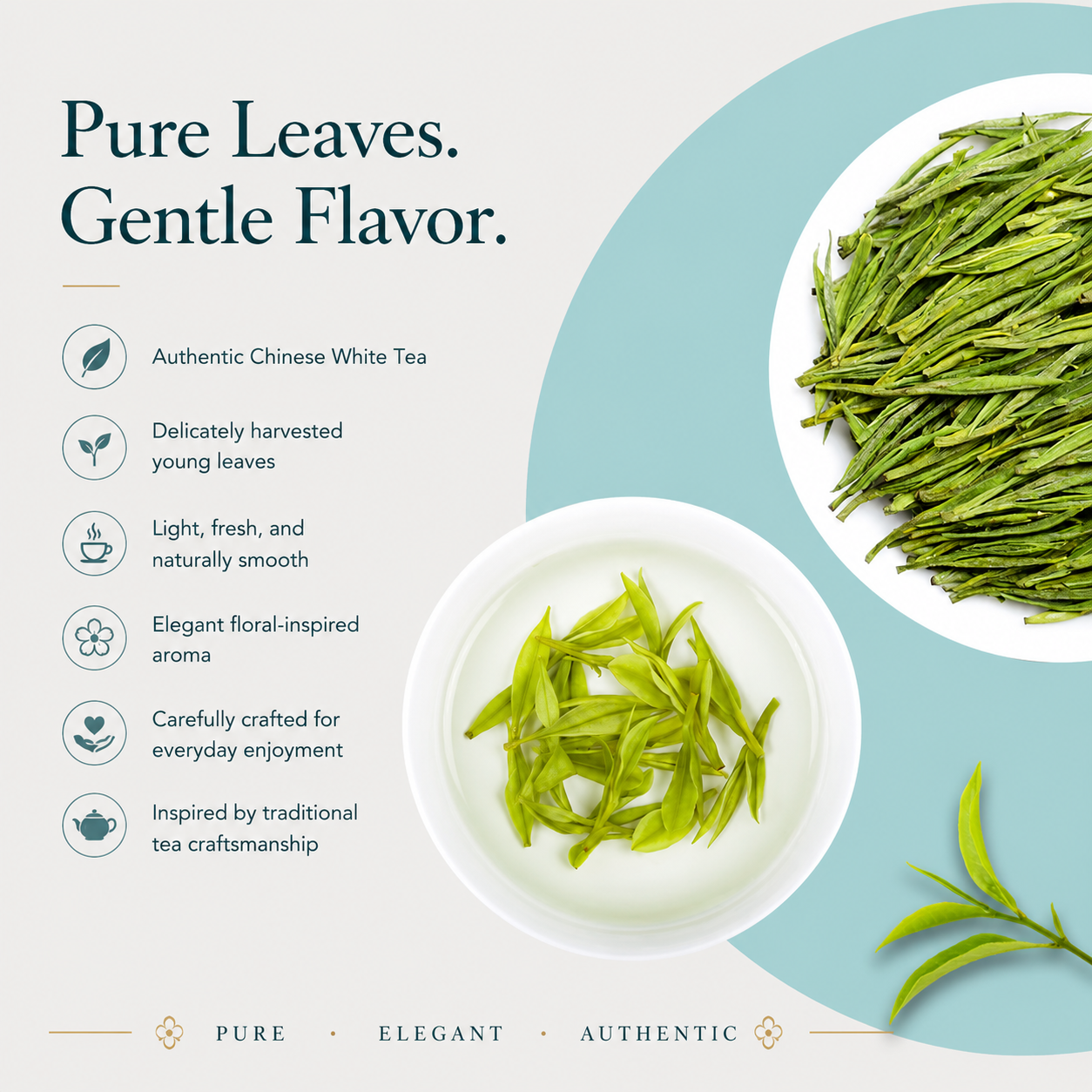 Premium White Tea