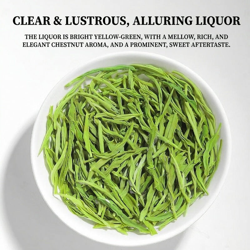 Premium Maojian Green Tea – Authentic Chinese Loose Leaf Green Tea for Natural Energy, Wellness & Mindful Tea Rituals