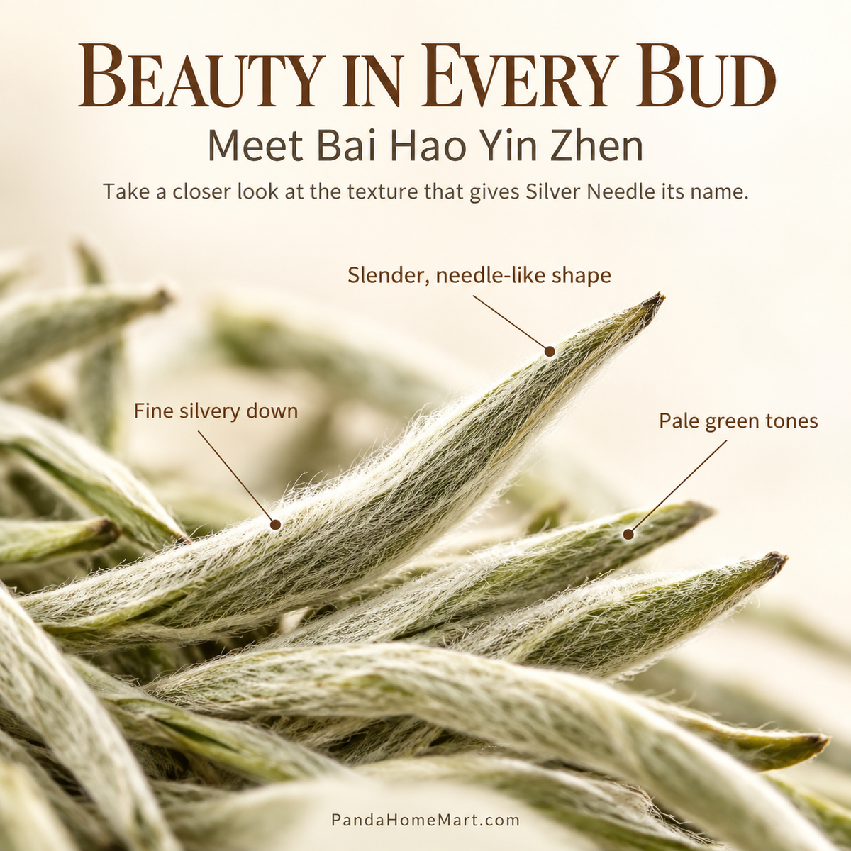 Premium Bai Hao Yin Zhen Silver Needle White Tea – Te Ji 250 g