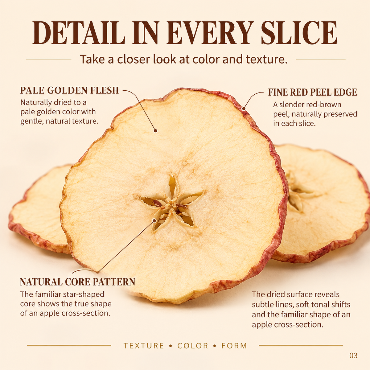 Dried Apple Slices Fruit Infusion